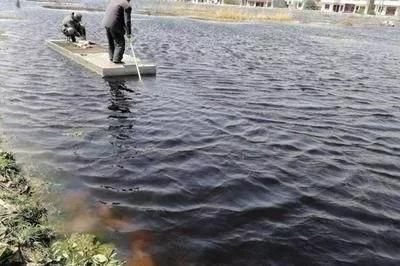 春季觀賞魚防病（春季觀賞魚的防病工作應從飼料投喂管理開始）