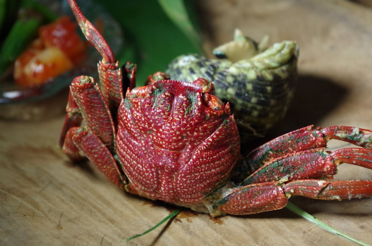 一方魚缸燈和馬印魚缸燈哪個好:一方魚缸燈和馬印魚缸燈哪個好一點 馬印水族 第2張 一方魚缸燈和馬印魚缸燈哪個好:一方魚缸燈和馬印魚缸燈哪個好一點 一方魚缸燈和馬印魚缸燈哪個好:一方魚缸燈和馬印魚缸燈哪個好一點 馬印水族 第2張