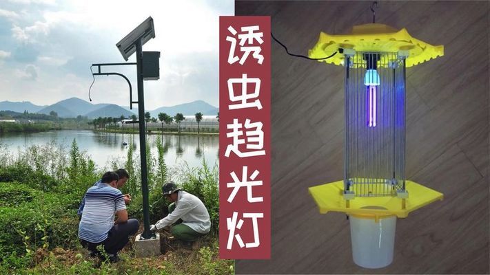 山水畫圖片，千年筆墨中的自然之境與人文精神，千年筆墨繪山水，自然之境與人文精神的交融
