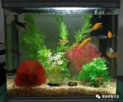 伊罕精巧桶出水口（伊罕精巧桶出水口改造）