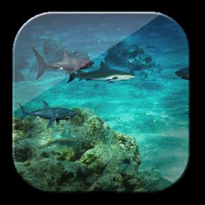 水族館動態(tài)手機免費壁紙（水族館動態(tài)壁紙） 水族館動態(tài)手機免費壁紙（水族館動態(tài)壁紙） 水族館百科（水族館加盟） 第3張