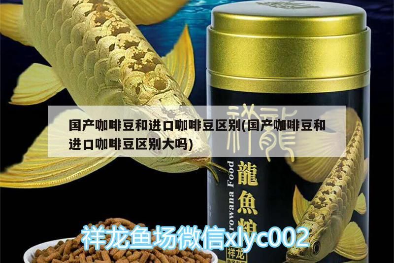 國產咖啡豆和進口咖啡豆區別(國產咖啡豆和進口咖啡豆區別大嗎)