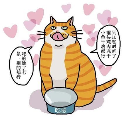 三種最旺家宅的烏龜，招財納福的靈性伙伴，三種最旺家宅的招財龜，靈性護佑納福添祥
