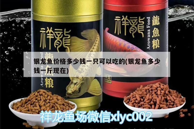 銀龍魚價格多少錢一只可以吃的(銀龍魚多少錢一斤現在) 銀龍魚價格多少錢一只可以吃的(銀龍魚多少錢一斤現在) 銀龍魚百科