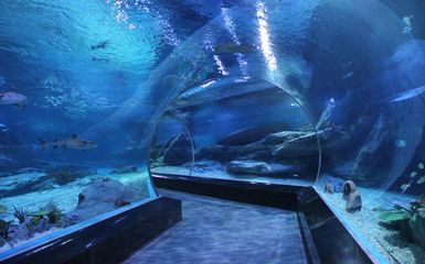 開一家水族館做什么準(zhǔn)備：開一家水族館需要做充分的準(zhǔn)備，水族館加盟品牌推薦