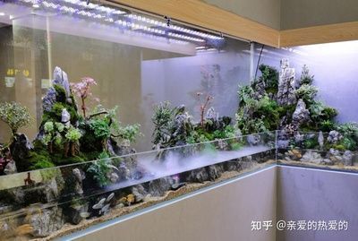 知名魚缸品牌（知名魚缸品牌排行榜） 知名魚缸品牌（知名魚缸品牌排行榜） iwish愛唯希品牌魚缸