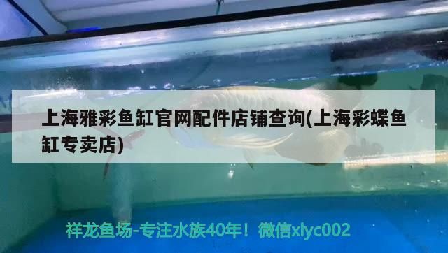 新龍魚趴缸怎么處理干凈視頻（新買的龍魚趴缸是什么原因）