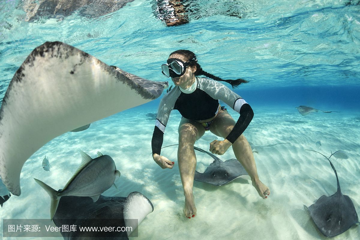 魟魚怎么呼吸：魟魚主要通過鰓部進行呼吸，魟魚呼吸方式詳細解釋