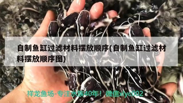 自制魚缸過濾材料擺放順序(自制魚缸過濾材料擺放順序圖)