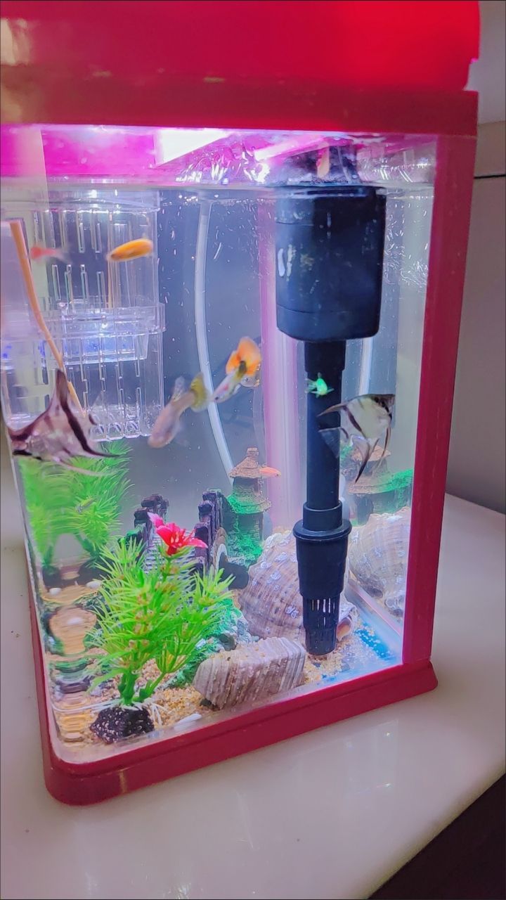 運城經濟技術開發區啟航水族店