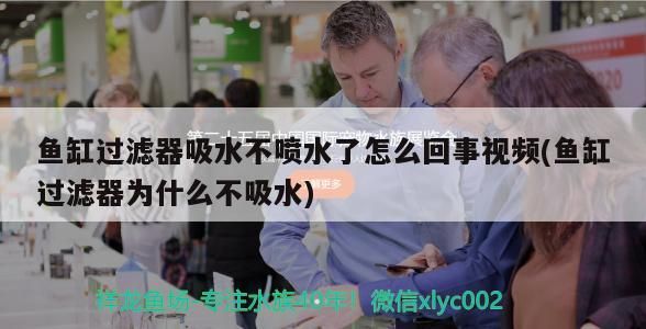 魚缸過濾器吸水不噴水了怎么回事視頻(魚缸過濾器為什么不吸水) 魚缸過濾器吸水不噴水了怎么回事視頻(魚缸過濾器為什么不吸水) 元寶鳳凰魚百科