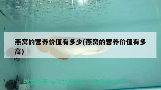 西安龍魚(yú)批發(fā)市場(chǎng)在哪個(gè)位置(西安龍魚(yú)價(jià)格) 可麗愛(ài)魚(yú)缸 第2張 西安龍魚(yú)批發(fā)市場(chǎng)在哪個(gè)位置(西安龍魚(yú)價(jià)格) 西安龍魚(yú)批發(fā)市場(chǎng)在哪個(gè)位置(西安龍魚(yú)價(jià)格) 可麗愛(ài)魚(yú)缸 第2張