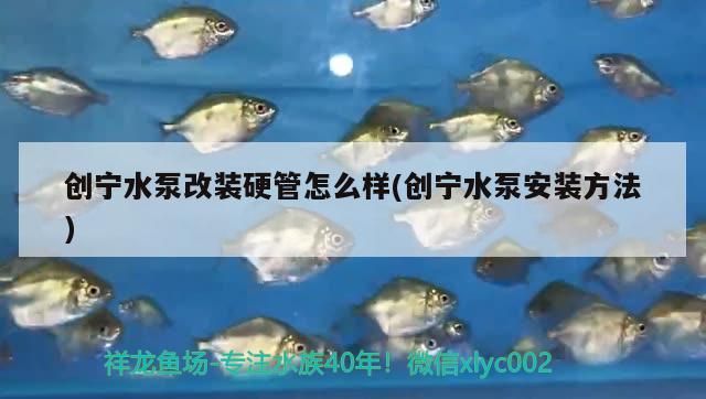 創寧水泵改裝硬管怎么樣(創寧水泵安裝方法)