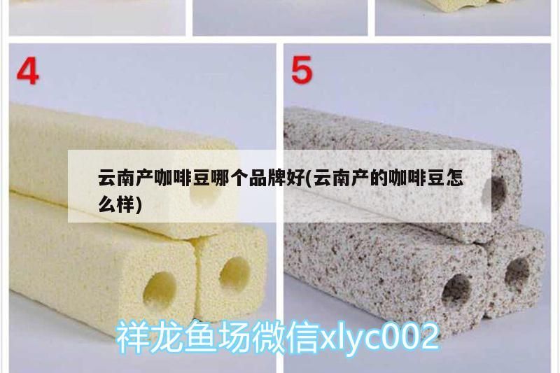云南產咖啡豆哪個品牌好(云南產的咖啡豆怎么樣)