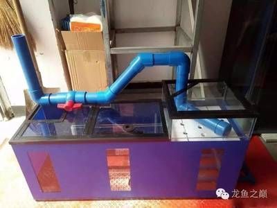 創寧變頻水泵哪個型號好用點（創寧變頻水泵哪個型號好用點呢）