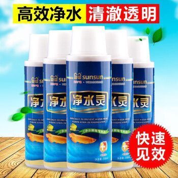 森森凈水靈與瘋狂石頭哪個好