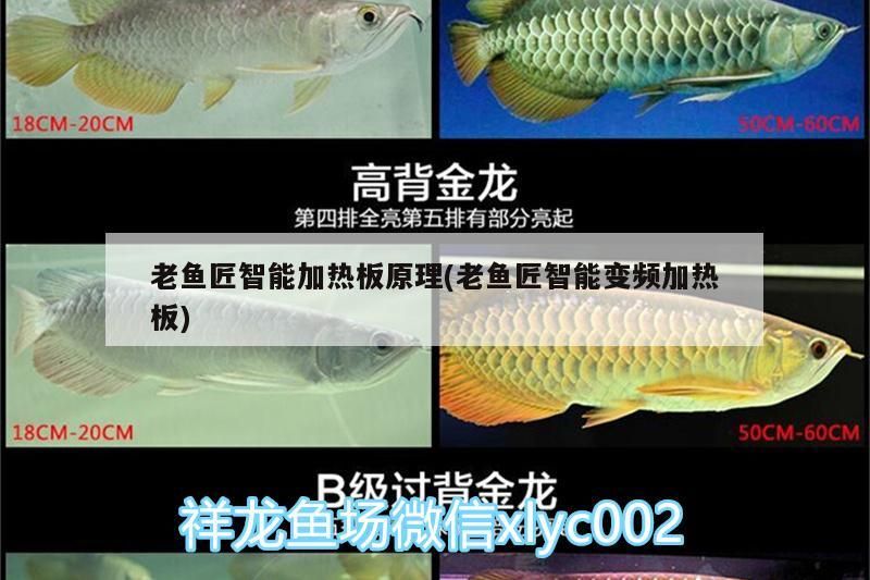 老魚匠智能加熱板原理(老魚匠智能變頻加熱板)