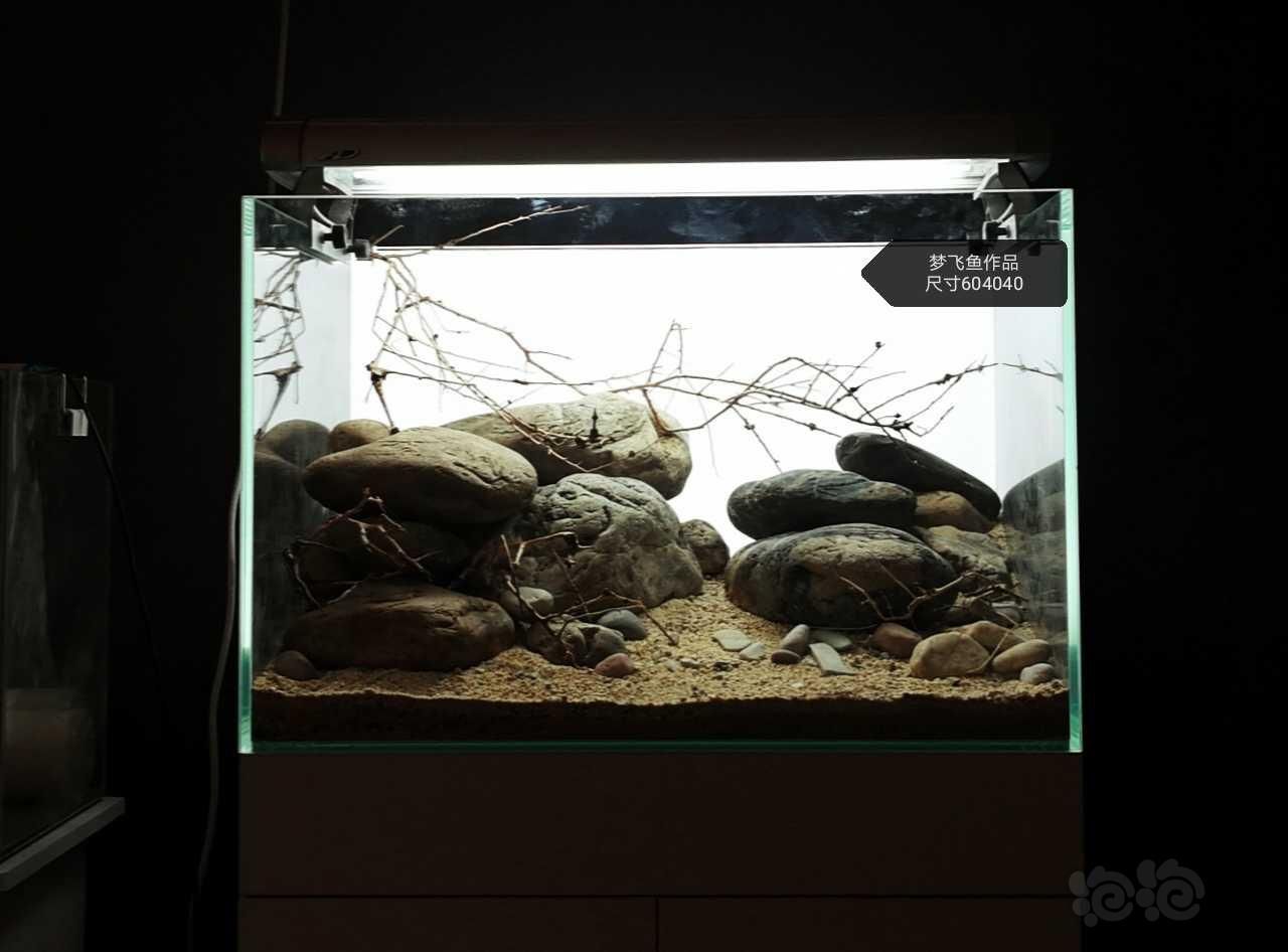 40魚缸造景圖：40cm魚缸造景圖示