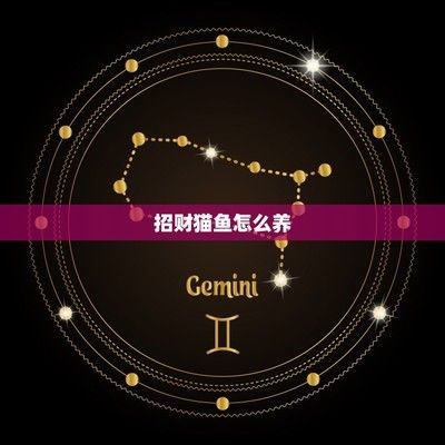 黃金貓魚幼魚營養均衡指南（黃金貓魚幼魚的營養均衡指南）