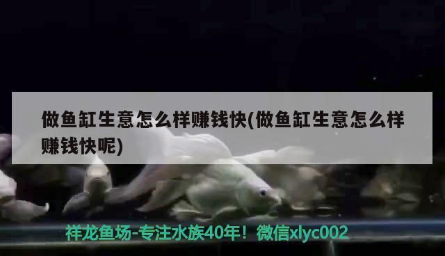 做魚缸生意怎么樣賺錢快(做魚缸生意怎么樣賺錢快呢) 做魚缸生意怎么樣賺錢快(做魚缸生意怎么樣賺錢快呢) 九鼎魚缸