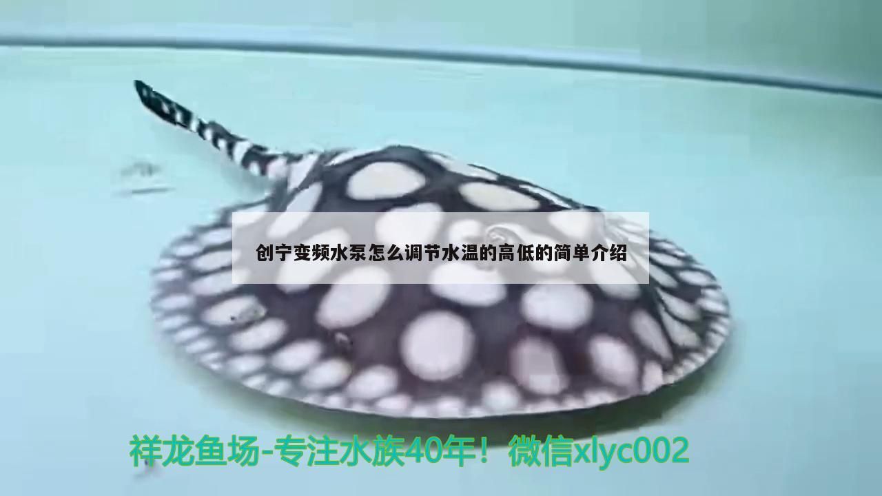 創寧變頻水泵怎么調節水溫的高低的簡單介紹 創寧變頻水泵怎么調節水溫的高低的簡單介紹 創寧水族