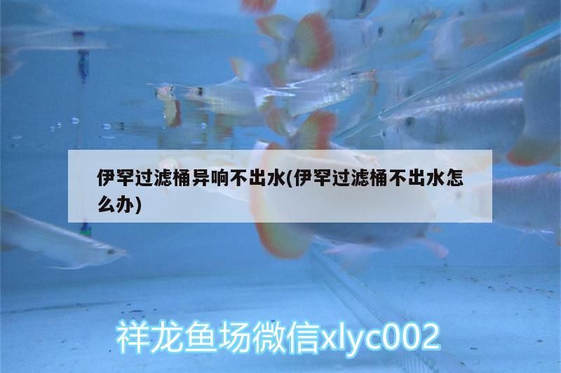 伊罕過濾桶異響不出水(伊罕過濾桶不出水怎么辦) 伊罕過濾桶異響不出水(伊罕過濾桶不出水怎么辦) 伊罕水族