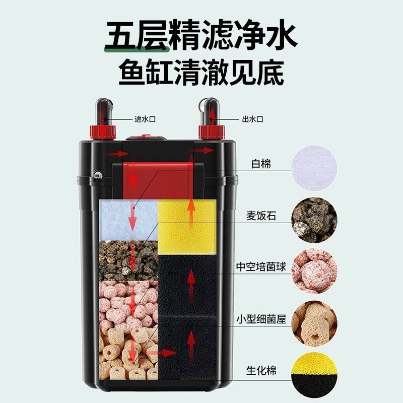 給我推薦幾道小白龍魚的家常菜，小白龍魚怎么做好吃，小白龍魚的家常做法