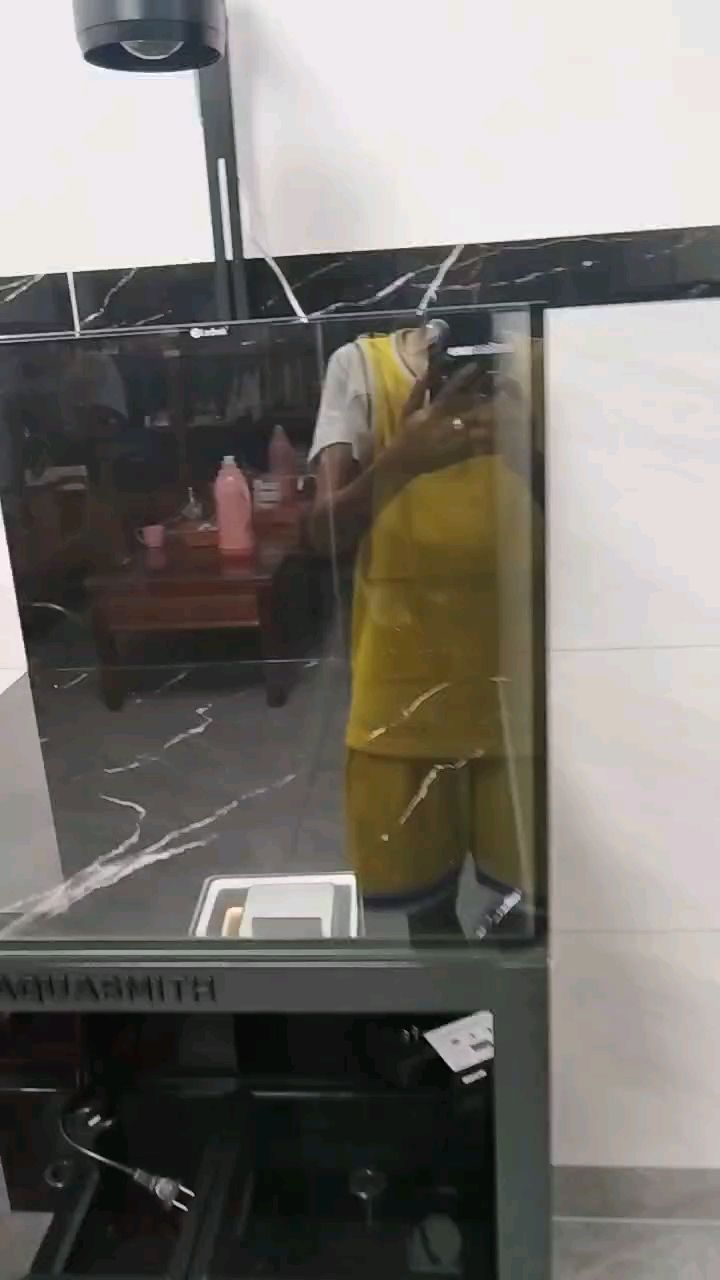 新缸養(yǎng)啥魚呢