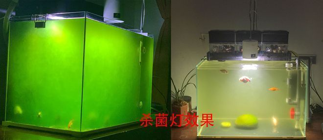 伊罕加熱棒溫度調亂了（伊罕加熱棒溫度不準）