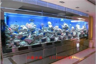 魚缸用增氧泵價格是多少:魚缸增氧機-xtrac增氧機-xtrac增氧機 超白魚缸品牌推薦大全(超白魚缸品牌推薦大全圖片) iwish愛唯希品牌魚缸 超白魚缸品牌推薦大全(超白魚缸品牌推薦大全圖片) 超白魚缸品牌推薦大全(超白魚缸品牌推薦大全圖片) iwish愛唯希品牌魚缸