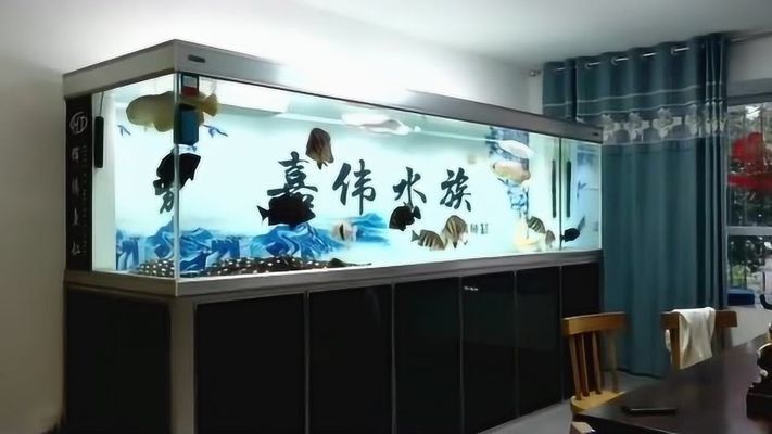 博特魚缸過濾盒缺點分析圖：\"博特魚缸過濾盒缺點分析圖