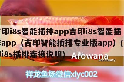 吉印i8s智能插排app吉印i8s智能插排app（吉印智能插排專業(yè)版app）(吉印i8s插排連接說明) 吉印i8s智能插排app吉印i8s智能插排app（吉印智能插排專業(yè)版app）(吉印i8s插排連接說明) 吉印水族