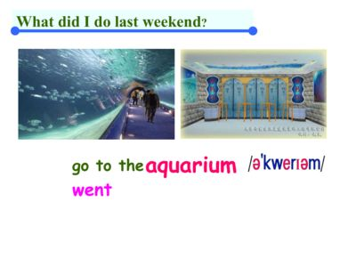 水族館用英文怎么說？（theaquarium水族館設(shè)計的創(chuàng)新理念如何維護(hù)家庭水族箱生態(tài)）