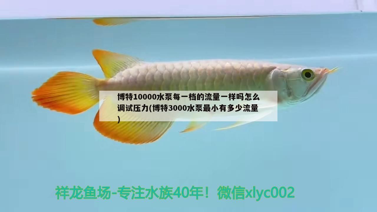 博特10000水泵每一檔的流量一樣嗎怎么調試壓力(博特3000水泵最小有多少流量)