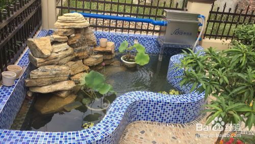可麗愛魚缸型號說明圖片（可麗愛魚缸型號說明圖片大全）