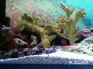 水族館店鋪介紹