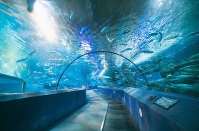 水族館經營理念（水族館的經營模式）