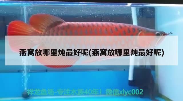 伊罕過濾桶濾材順序圖（伊罕過濾桶好用嗎）