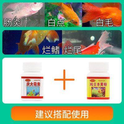 80的魚缸用多少慶大霉素：一個80升的魚缸，慶大霉素的使用量是多少？ 80的魚缸用多少慶大霉素：一個80升的魚缸，慶大霉素的使用量是多少？ 魚缸百科 第3張