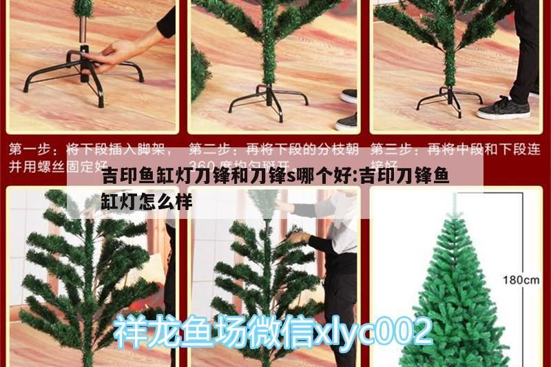吉印魚缸燈刀鋒和刀鋒s哪個好:吉印刀鋒魚缸燈怎么樣