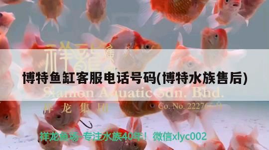 博特魚缸客服電話號碼(博特水族售后) 博特魚缸客服電話號碼(博特水族售后) 博特水族
