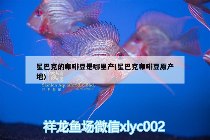 星巴克的咖啡豆是哪里產(星巴克咖啡豆原產地)