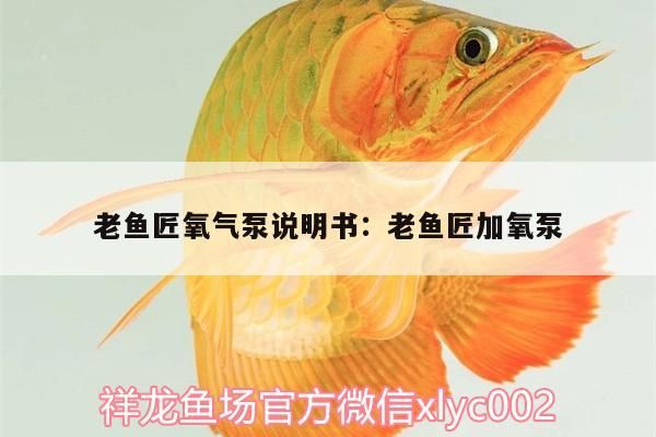 老魚匠氧氣泵說明書:老魚匠加氧泵 老魚匠氧氣泵說明書:老魚匠加氧泵 老魚匠