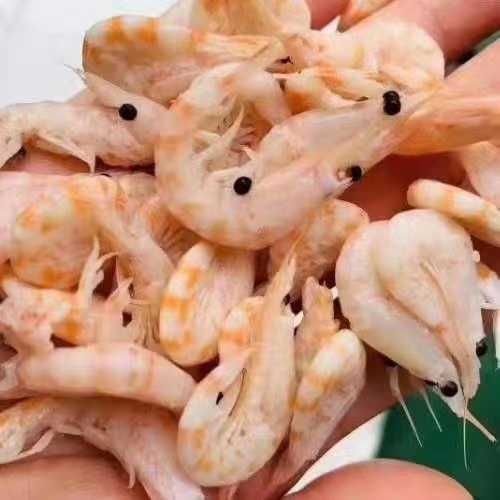 長春市賣魚缸電話地址查詢（長春哪里做魚缸便宜）