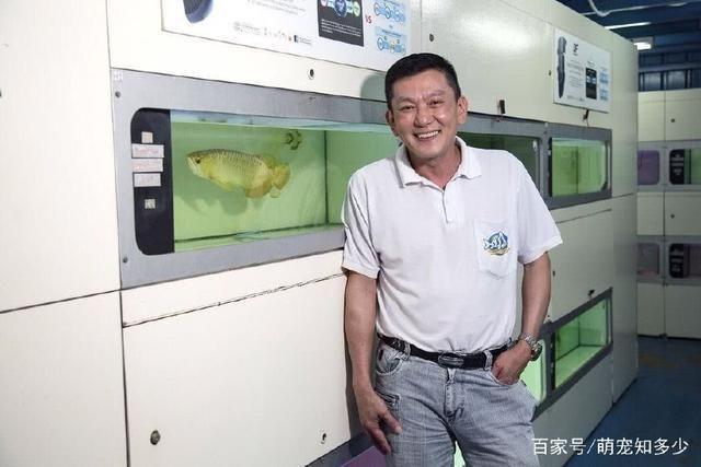 紅龍魚厭食如何判斷是否健康？（如何判斷紅龍魚是否健康）