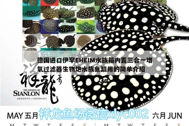 德國(guó)進(jìn)口伊罕EHEIM水族箱內(nèi)置三合一增氧過(guò)濾器生物炮水族魚(yú)缸用的簡(jiǎn)單介紹
