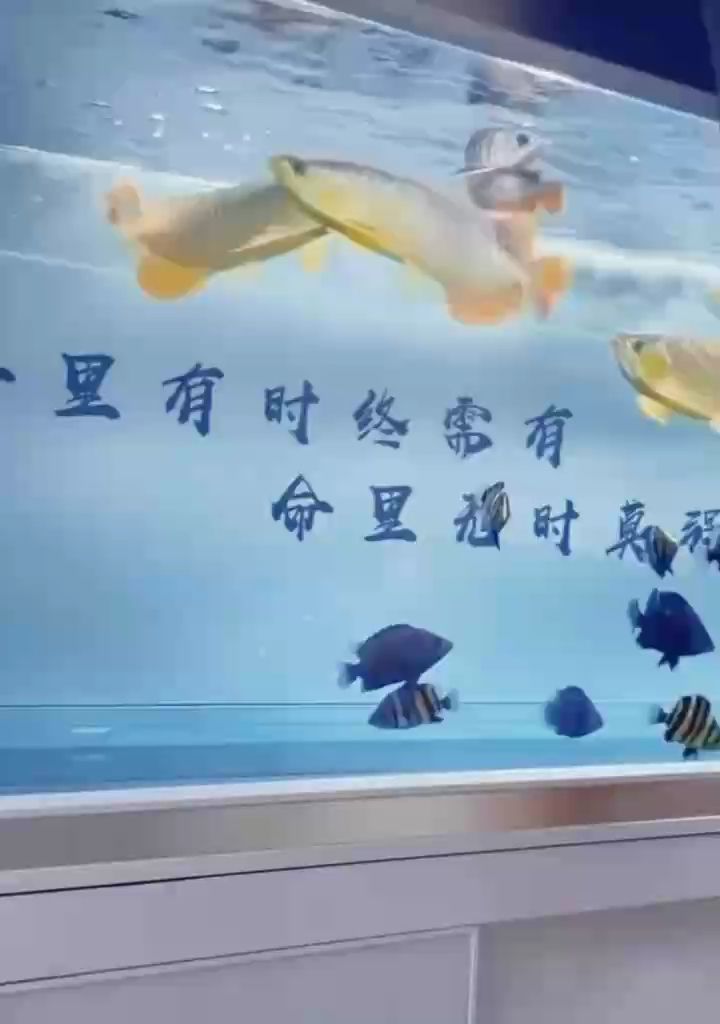 所謂愛就是無他不可