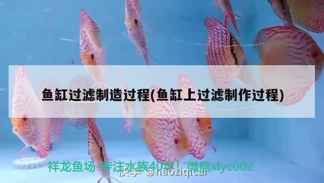 水族館在哪里有賣的（水族館的產品）