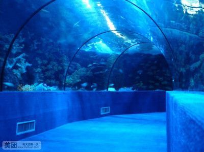 水族館在哪里有賣的（水族館的產品）