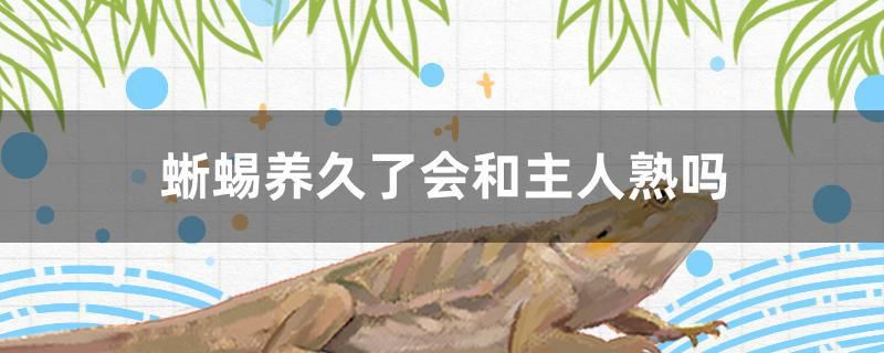蜥蜴養久了會和主人熟嗎